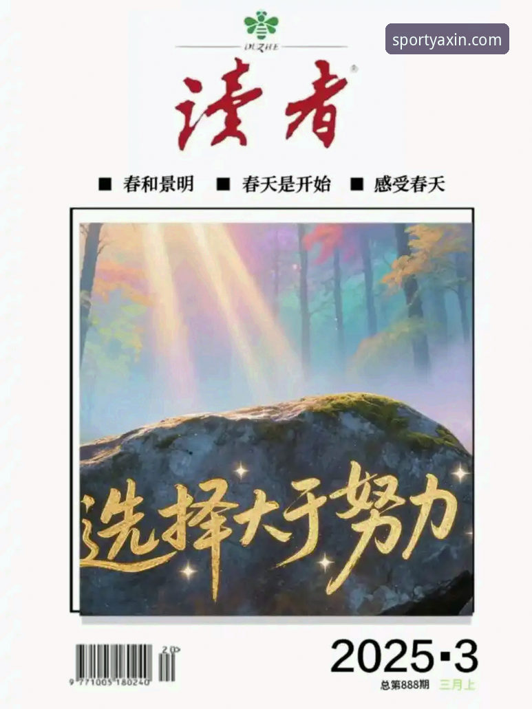 亚新体育平台安心服务对比完整指南：如何选择更可靠的官方入口